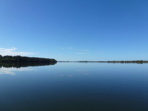 Manning River - Accommodation Batemans Bay 0