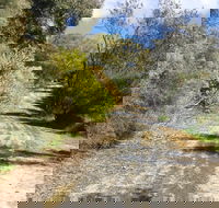 Naracoorte North Nature Park - Accommodation Batemans Bay