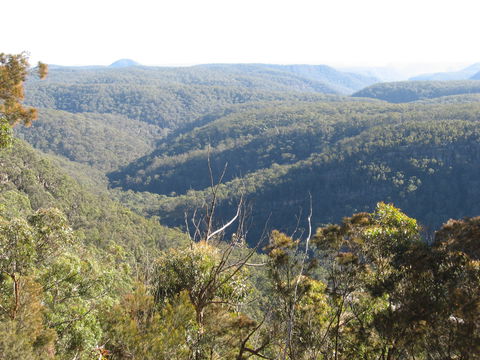 Nattai Gorge Lookout - Accommodation Batemans Bay 1