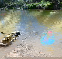 Neurum Creek Campgrounds - Accommodation Batemans Bay