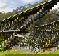 Noojee Trestle Bridge - Accommodation Batemans Bay