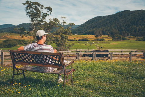 North - North East - Accommodation Batemans Bay 0