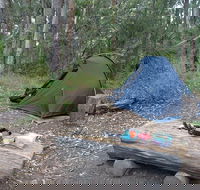 Northbrook Mountain Bush Camp - Accommodation Batemans Bay