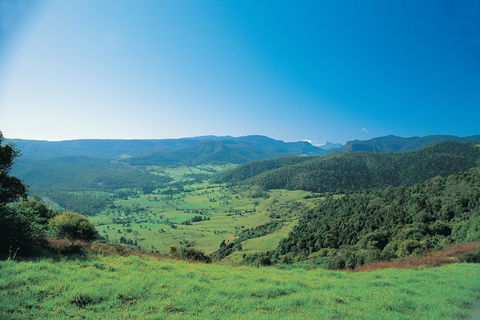 Numinbah Section, Springbrook National Park - Accommodation Batemans Bay 0
