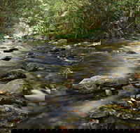 Plateau Circuit Loop Trail - Accommodation Batemans Bay