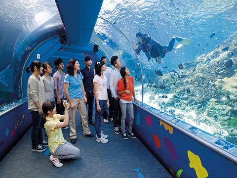 Reef HQ Aquarium - Accommodation Batemans Bay 2