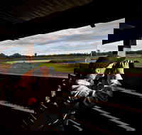 Reed Beds Bird Hide Boardwalk - Accommodation Batemans Bay