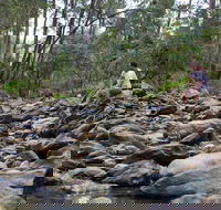 Rocksberg Park Heritage Reserve - Accommodation Batemans Bay