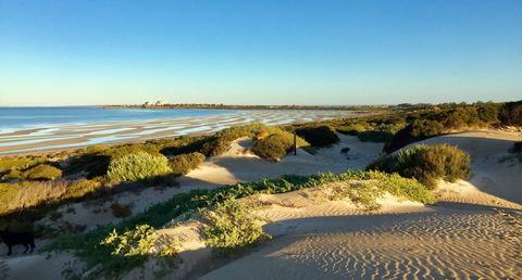Shelly Beach Dune Walk Trail - Accommodation Batemans Bay 0