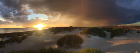 Shelly Beach Dune Walk Trail - Accommodation Batemans Bay 2