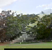 State Square Banyan Tree - Accommodation Batemans Bay
