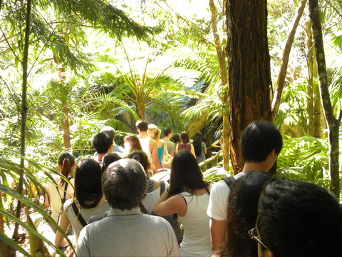 Tamborine Mountain Glow Worm Tours - Accommodation Batemans Bay 1