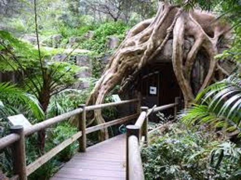 Tamborine Mountain Glow Worm Tours - Accommodation Batemans Bay 2