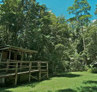 Terania Creek Picnic Area - Accommodation Batemans Bay