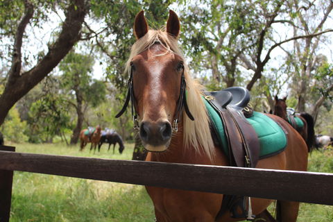 The Ranch - Accommodation Batemans Bay 2