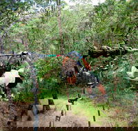 TreeTop Challenge - Accommodation Batemans Bay