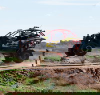 Turbo Buggy Ride - Accommodation Batemans Bay