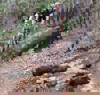 Turner Hill Mountain Bike Trail Murray - Accommodation Batemans Bay