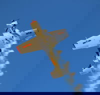 Warbird Aerial Adventures - Accommodation Batemans Bay