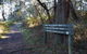 Arthurs Seat To Kings Falls Walk - thumb 0