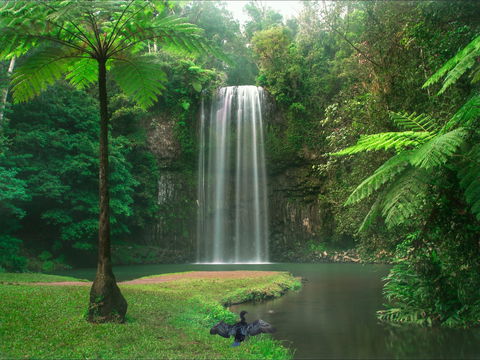 Atherton Tablelands - Accommodation Batemans Bay 0