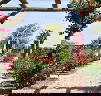 Australian Inland Botanic Gardens - Accommodation Batemans Bay