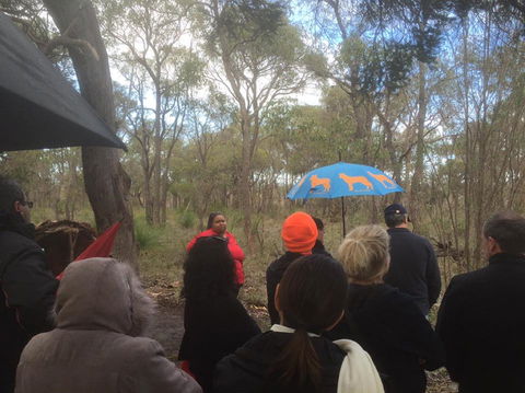 Bindjareb Cultural Park - Accommodation Batemans Bay 2