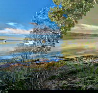 Black Oaks Picnic Area - Accommodation Batemans Bay
