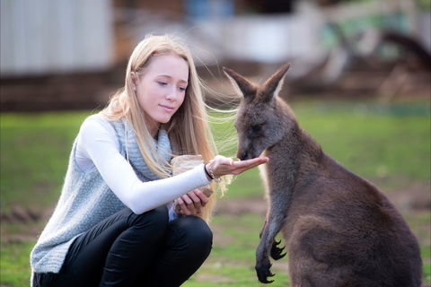 Bonorong Wildlife Sanctuary - Accommodation Batemans Bay 1