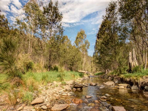 Brindabella National Park - Accommodation Batemans Bay 2
