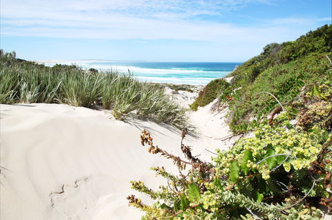 Coffin Bay National Park - Accommodation Batemans Bay 1