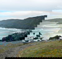 Connors Walking Track - Accommodation Batemans Bay
