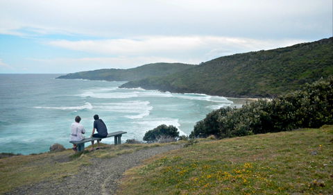 Connors Walking Track - Accommodation Batemans Bay 0