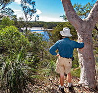 Corkwood and Scribbly Gum Walking Track - Accommodation Batemans Bay