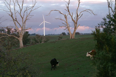 Crookwell Wind Farm - Accommodation Batemans Bay 1