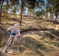 Cycle Mogo State Forest - Accommodation Batemans Bay