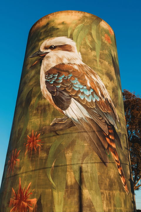 Deniliquin Water Tower Mural - Accommodation Batemans Bay 0