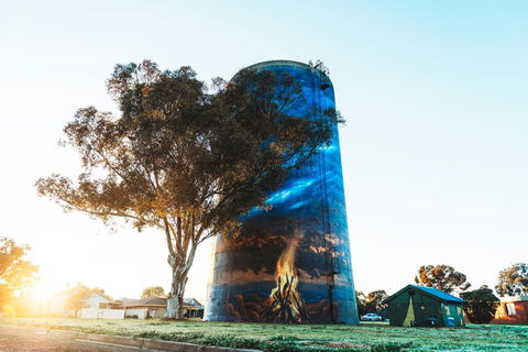 Deniliquin Water Tower Mural - Accommodation Batemans Bay 1