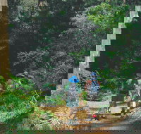 Gloucester National Park - Accommodation Batemans Bay