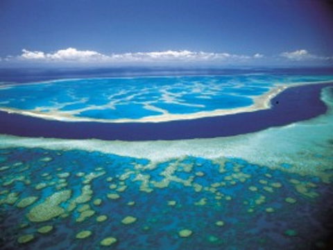 Hardy Reef - Accommodation Batemans Bay 0