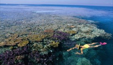 Hardy Reef - Accommodation Batemans Bay 1