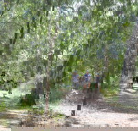 Hay Free Push Bikes - Accommodation Batemans Bay