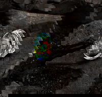 Matthew Ely - Accommodation Batemans Bay