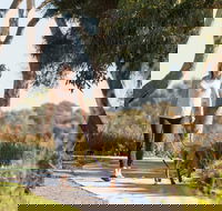 Meningie Walking and Cycling Trails - Accommodation Batemans Bay