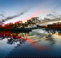 Mitchell - Accommodation Batemans Bay