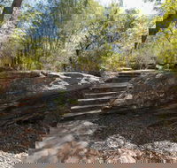 Mooney Mooney nature walk - Accommodation Batemans Bay