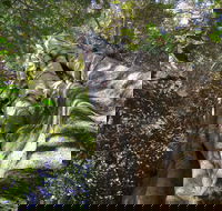 Moore Park Nature Reserve - Accommodation Batemans Bay