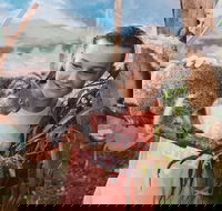 Oakvale Wildlife Park - Accommodation Batemans Bay