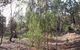 Pioneer Park - thumb 2