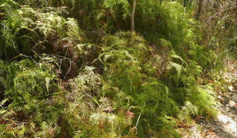 Powder Magazine Walking Track - Accommodation Batemans Bay 0
